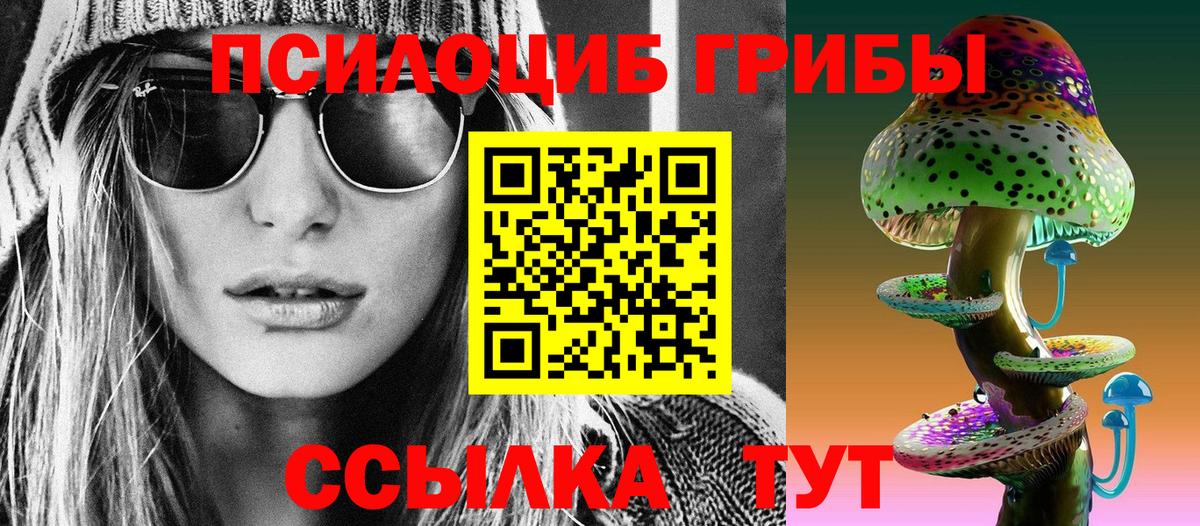 Псилоцибиновые грибы прущие грибы Рославль