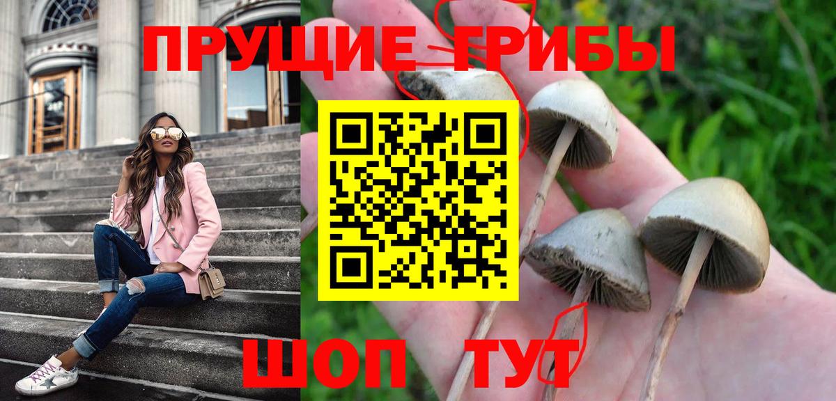 Галлюциногенные грибы мицелий  где продают наркотики  Рославль  Псилоцибиновые грибы мухоморы  Вход с VPN 